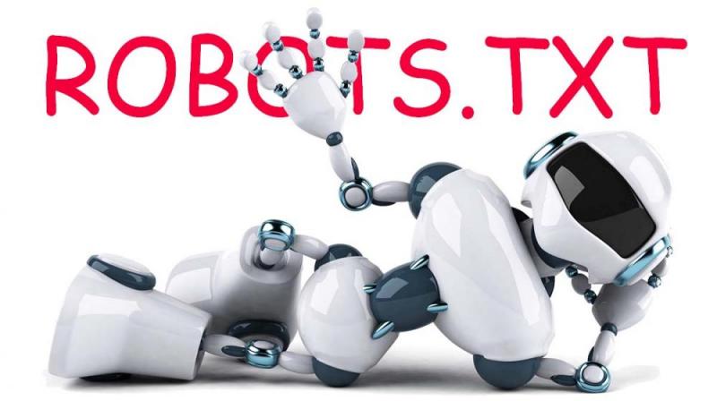 Что такое robots.txt и зачем он нужен в Южно-Сахалинске